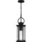 Quoizel Tilmore Outdoor Hanging 1 Light Matte Black TLM1907MBK - alternate 2